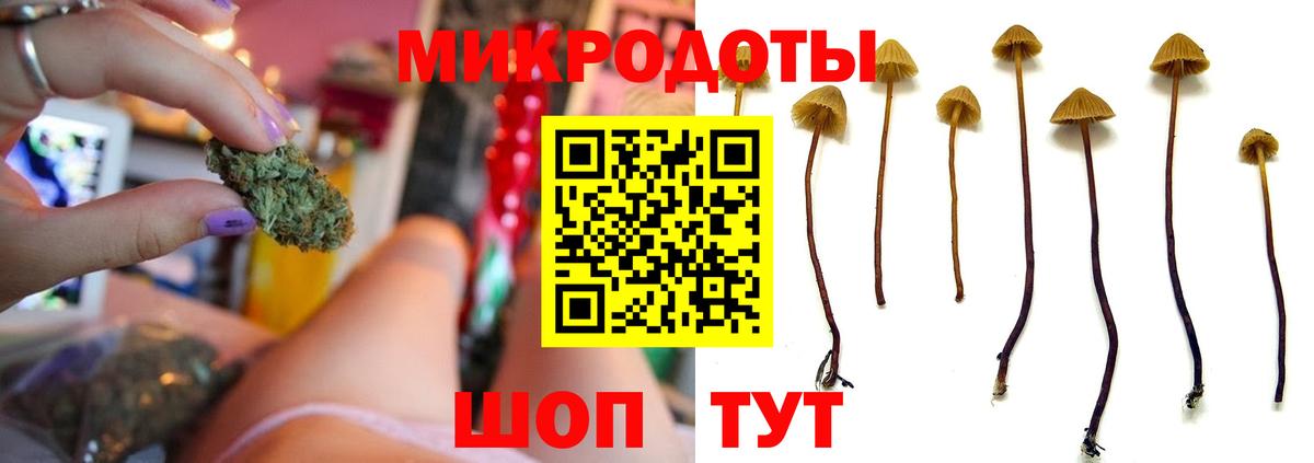 Галлюциногенные грибы Psilocybine cubensis  Вход с VPN  Всеволожск 