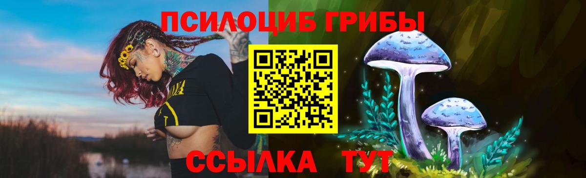 Псилоцибиновые грибы мухоморы Всеволожск